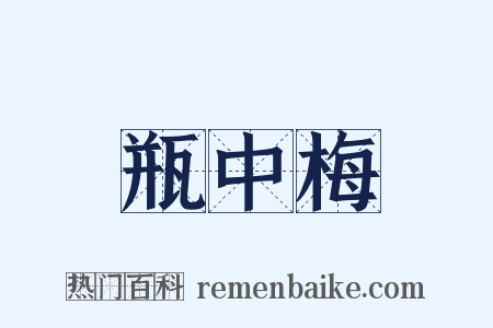 瓶中梅是什么意思的图片